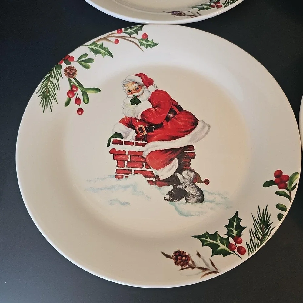 4 Assorted Pier 1 Winter Wonders Ironstone 8 3/4